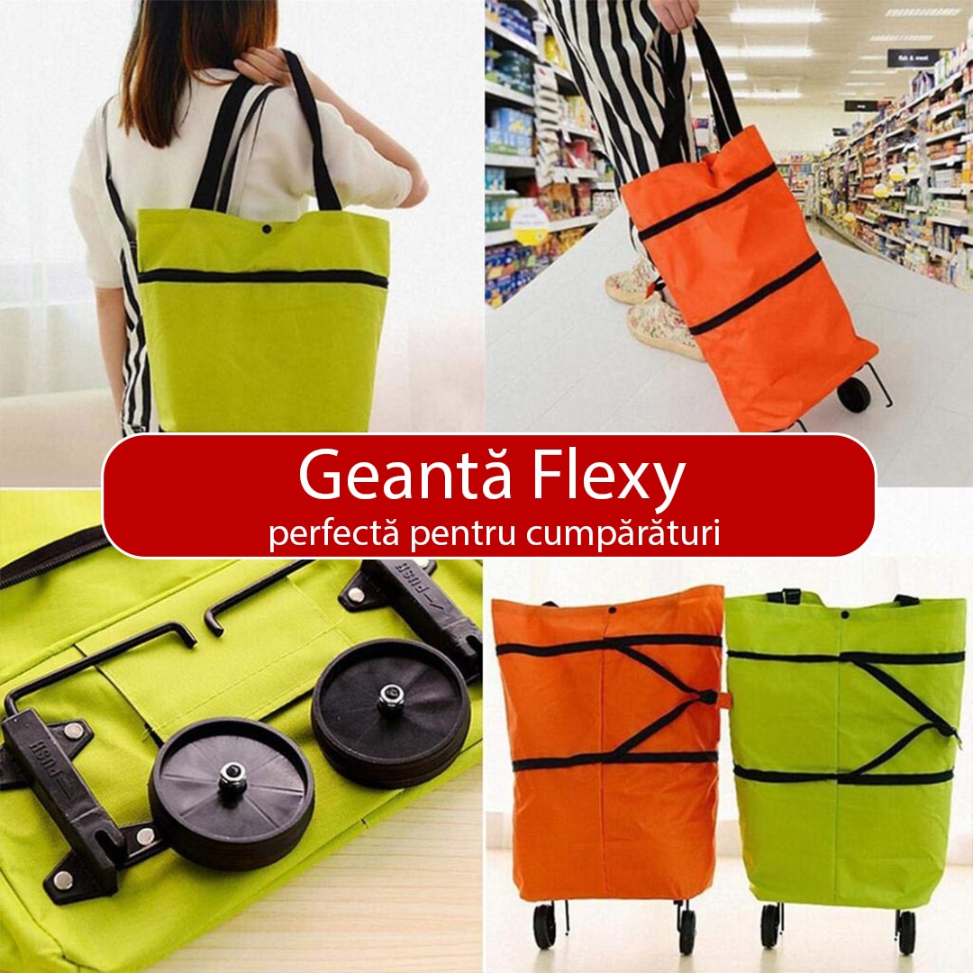Geanta-Flexy